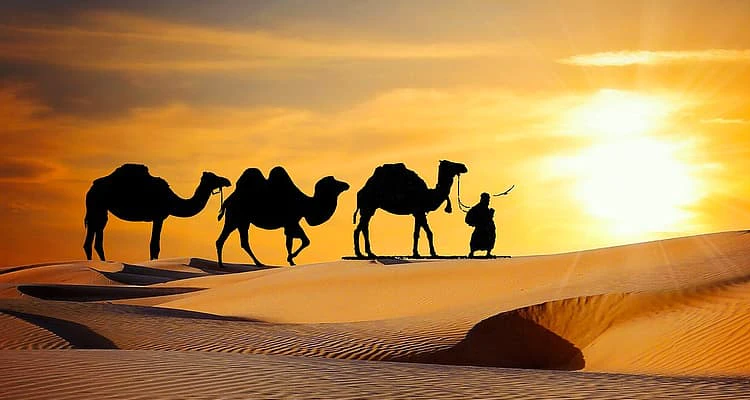 Desert Tour of Rajasthan 20 Days 19 Nights