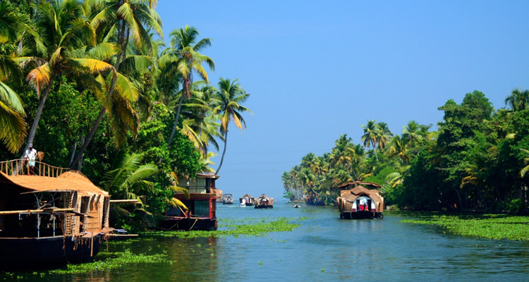 Discover Best of South India Tour 8 Days 7 Nights