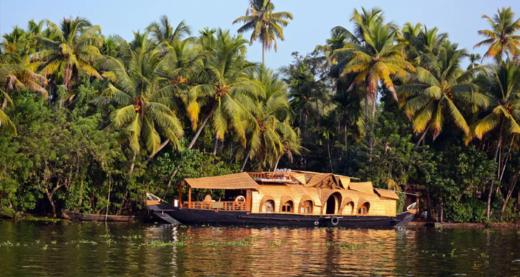 Paradise Kerala Tour 8 Days 7 Nights